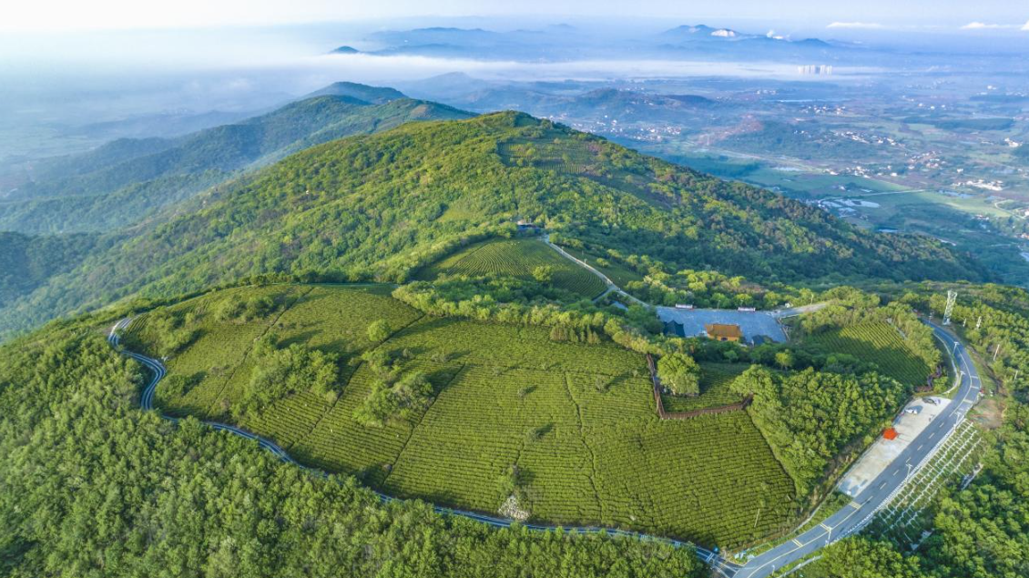 浮槎山风景俯瞰图。